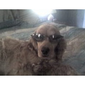 Laurie Koller's photo