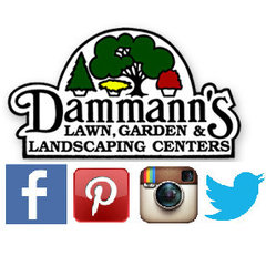 Dammann's Lawn, Garden, & Landscaping Centers