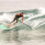 Mark Field's photo