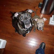 Travis Cole's photo