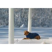 Bill Price's photo