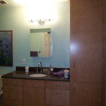 Alexandria Condo Master Bath