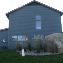 rocks against tall grasses