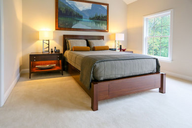Bedroom - master bedroom idea in DC Metro