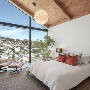 Eureka Valley Residence