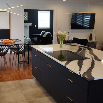 District 66 Kitchen Remodel