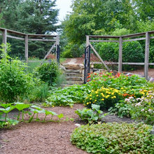 Landscaping/Yard