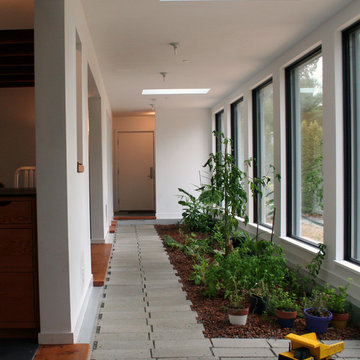 Birch Case Study House