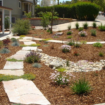 Natural Drainage