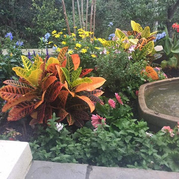 Gardens & Garden Paths