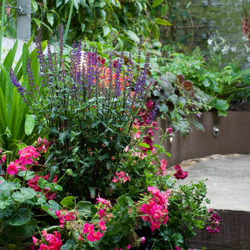 Raised Bed planting