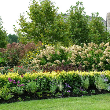 Entrance Beds