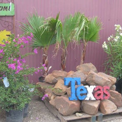 Fall Auction - Outdoor Products