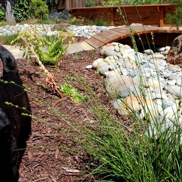 Super Sunny Multi-use Backyard