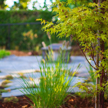 West Linn Dog-Friendly Back Yard