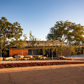 Trees For Privacy Front Yard