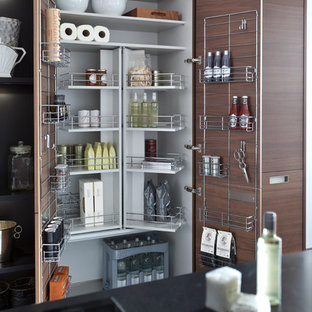 Modern kitchen pantry photos - Example of a minimalist kitchen pantry design in Stuttgart with flat-panel cabinets and dark wood cabinets