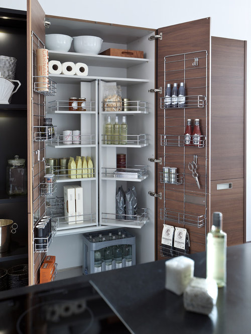 1933 Modern Kitchen Pantry Design Ideas And Remodel Pictures Houzz