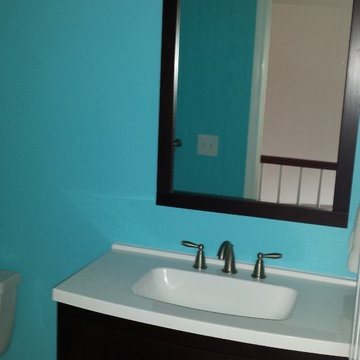 Ann Arbor Guest Bathroom Remodel