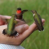 Julie Congi's photo