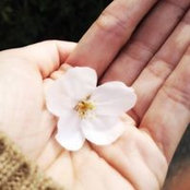 Sanmin Leow's photo
