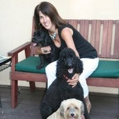 Barbara Zimmermann's photo