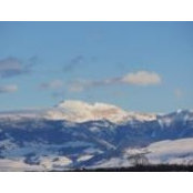 Julie Mecklenburg's photo