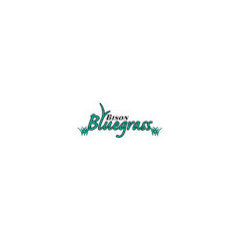 Bison Bluegrass