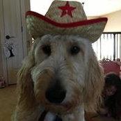 Irene Merkin's photo