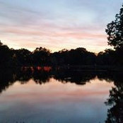 Nancy Potts's photo