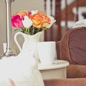 Carly Robertson's photo