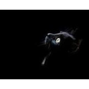 Sara Murga's photo