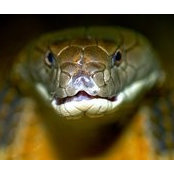 Kenneth Lim's photo