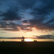 Laura Tilford's photo