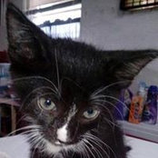 Vivian Fittro's photo