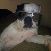 Stephanie Cagle's photo