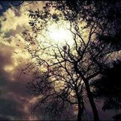 Foto di آلاء العقباوي