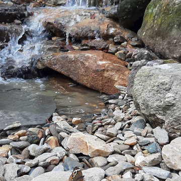 Water features