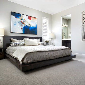 Onyx model home in Colorado