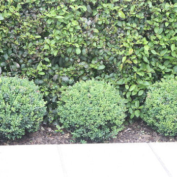 Michelle McDonnell Landscape Design gallery