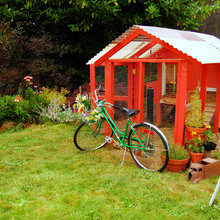 Chicken Coop