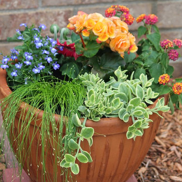 Summer Container Garden