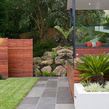 TH garden