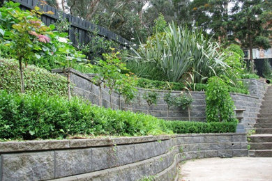 This is an example of a modern garden in Melbourne.