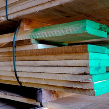 American Poplar/Tulipwood