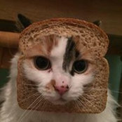 Mitch Laduke's photo