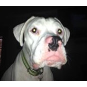 Jan Gregory-Romano's photo