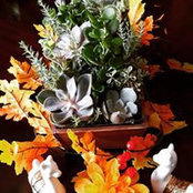 Mayra Jimenez's photo