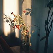 Wiem Ben Alya's photo