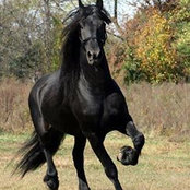 Passant Elsadek's photo